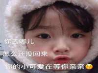 如皋晟东物流有限公司