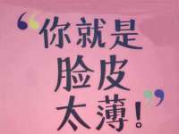 如皋晟东物流有限公司