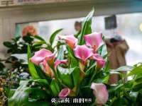 如皋晟东物流有限公司