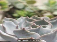 如皋晟东物流有限公司