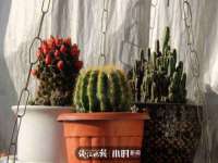 如皋晟东物流有限公司
