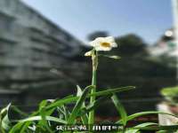 如皋晟东物流有限公司