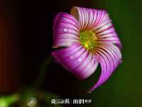 如皋晟东物流有限公司