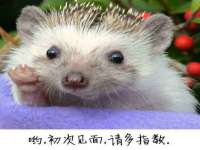 如皋晟东物流有限公司
