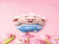 如皋晟东物流有限公司