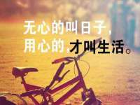 如皋晟东物流有限公司
