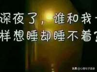 如皋晟东物流有限公司
