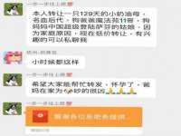 如皋晟东物流有限公司