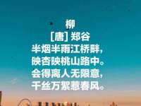如皋晟东物流有限公司