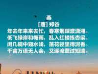 如皋晟东物流有限公司