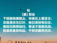 如皋晟东物流有限公司