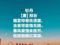 如皋晟东物流有限公司