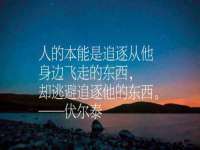 如皋晟东物流有限公司