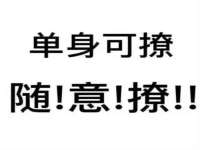 如皋晟东物流有限公司