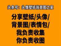 如皋晟东物流有限公司