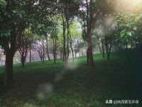 如皋晟东物流有限公司