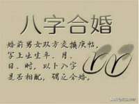 如皋晟东物流有限公司