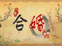 如皋晟东物流有限公司