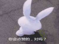 如皋晟东物流有限公司