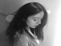 如皋晟东物流有限公司