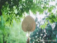 如皋晟东物流有限公司