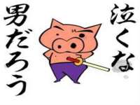 如皋晟东物流有限公司