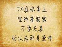 如皋晟东物流有限公司
