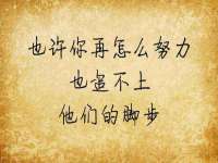 如皋晟东物流有限公司
