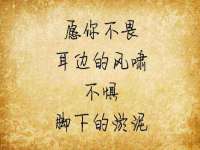 如皋晟东物流有限公司