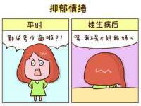 如皋晟东物流有限公司