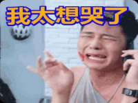 如皋晟东物流有限公司