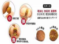如皋晟东物流有限公司