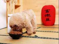 如皋晟东物流有限公司