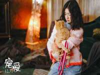 如皋晟东物流有限公司