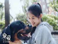 如皋晟东物流有限公司