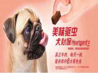 如皋晟东物流有限公司