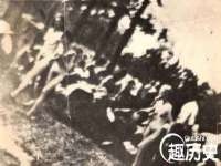 如皋晟东物流有限公司