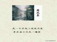 如皋晟东物流有限公司