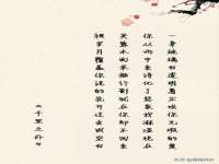 如皋晟东物流有限公司