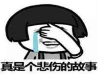 如皋晟东物流有限公司
