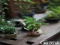 如皋晟东物流有限公司