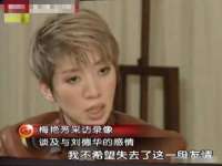 如皋晟东物流有限公司
