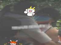 如皋晟东物流有限公司