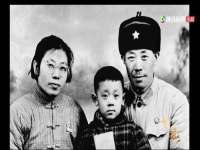 如皋晟东物流有限公司