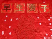 如皋晟东物流有限公司