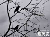 如皋晟东物流有限公司