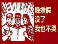 如皋晟东物流有限公司