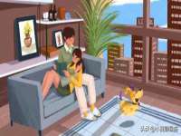 如皋晟东物流有限公司