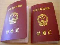 如皋晟东物流有限公司
