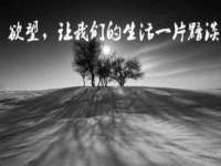如皋晟东物流有限公司